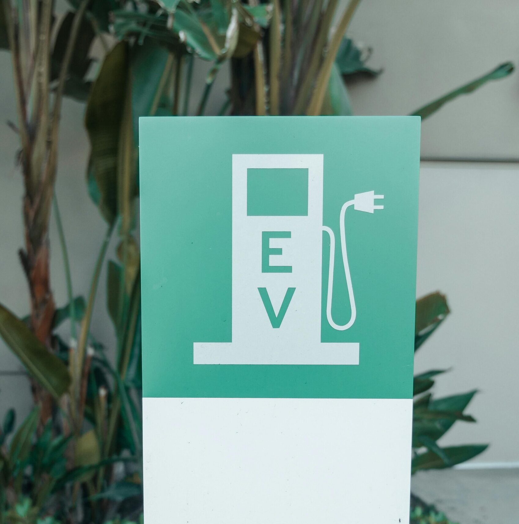 Close-up of an electric vehicle charging station sign amidst plants.